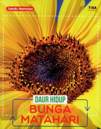 Cover Daur Hidup Bunga Matahari / Sandu Nurmaya